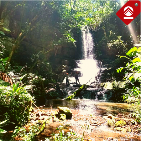 Se vende chacra de 7 hectareas 