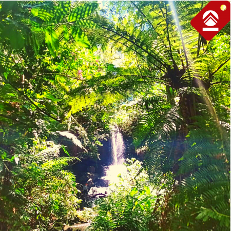 Se vende chacra de 7 hectareas 