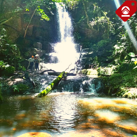 Se vende chacra de 7 hectareas 