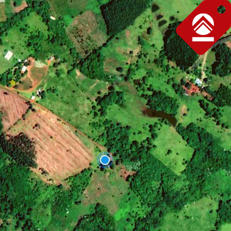 Se vende chacra de 7 hectareas 