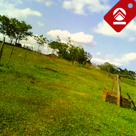 Se vende chacra de 7 hectareas 