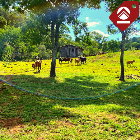 Se vende chacra de 243