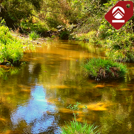 Se vende chacra de 243