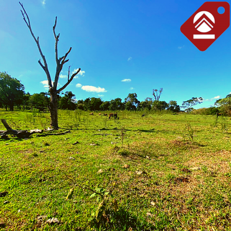 Se vende chacra de 243