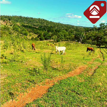 Se vende chacra de 243