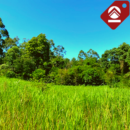 Chacra de 63 hectáreas 