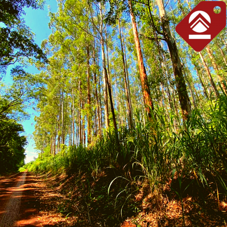 Chacra de 63 hectáreas 