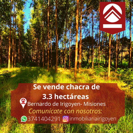 Chacra de 3.3 hectáreas 