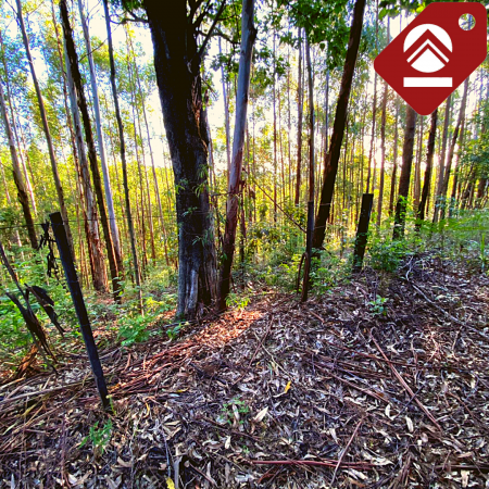 Chacra de 3.3 hectáreas 