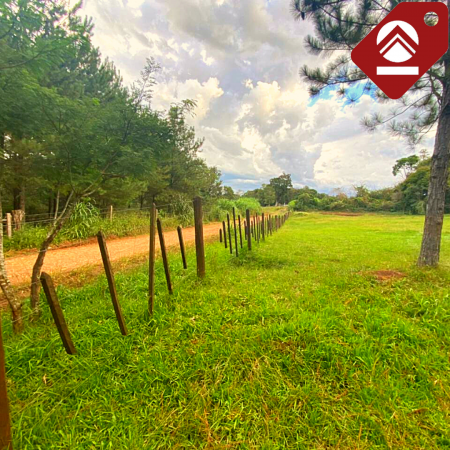 Se vende chacra de 6 hectáreas 