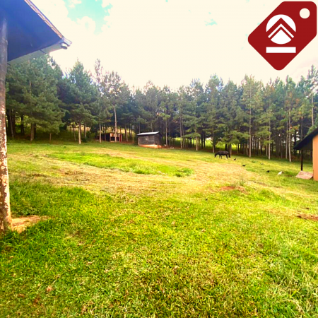 Se vende chacra de 6 hectáreas 