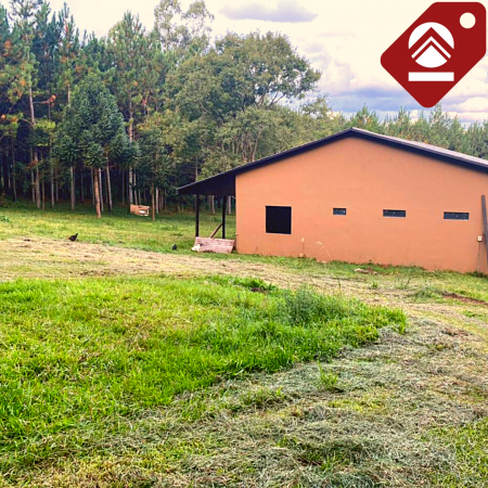 Se vende chacra de 6 hectáreas 