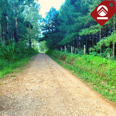 Se vende chacra de 6 hectáreas 