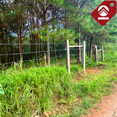 Se vende chacra de 6 hectáreas 