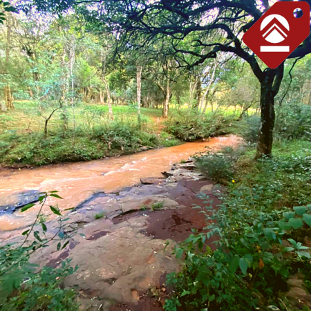 Se vende chacra de 6 hectáreas 