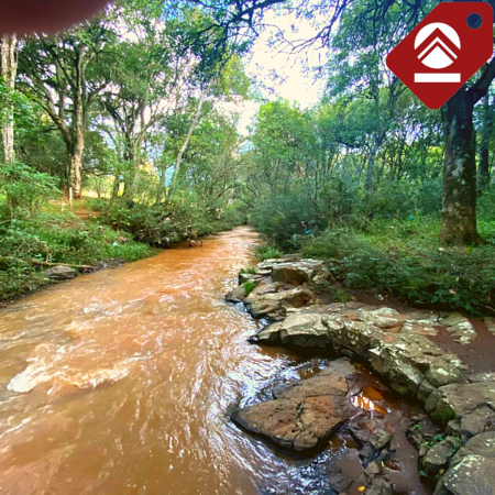 Se vende chacra de 6 hectáreas 