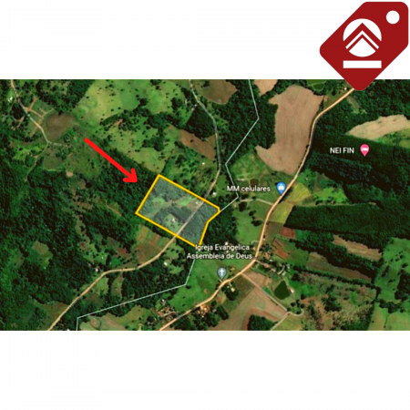 Se vende chacra de 6 hectáreas 