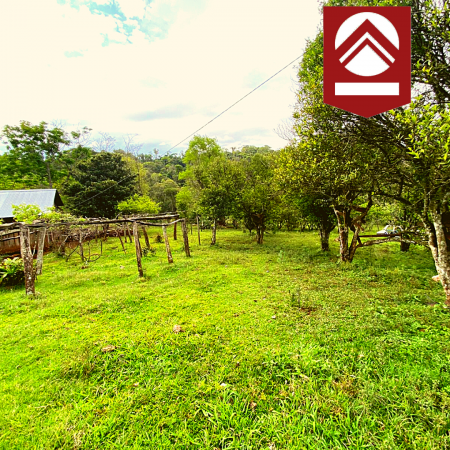 Chacra de 58 hectáreas 