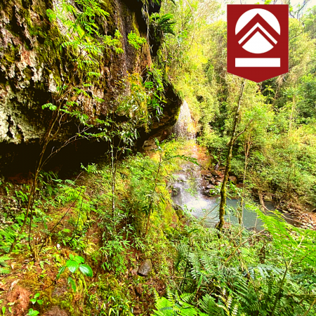 Chacra de 58 hectáreas 