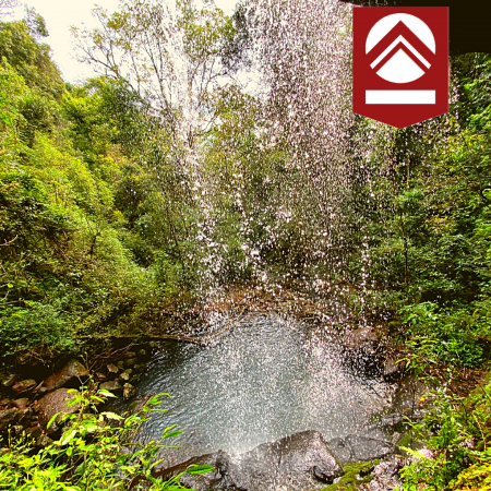 Chacra de 58 hectáreas 