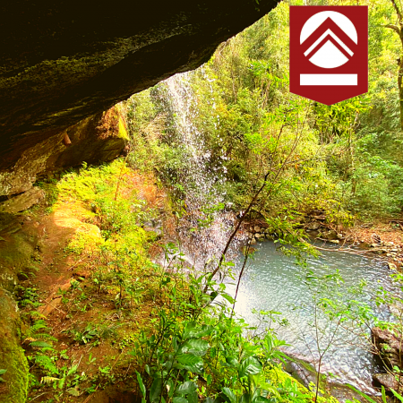 Chacra de 58 hectáreas 