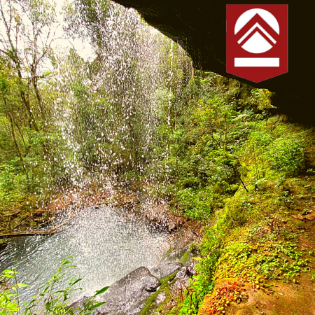 Chacra de 58 hectáreas 