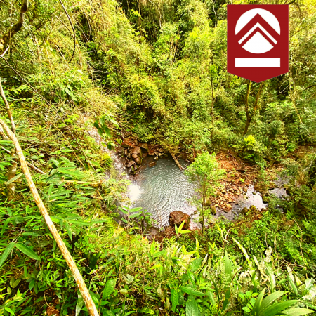 Chacra de 58 hectáreas 