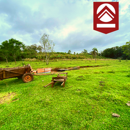 Chacra de 58 hectáreas 