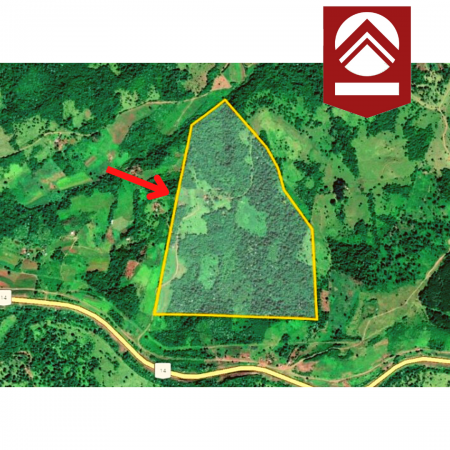 Chacra de 58 hectáreas 