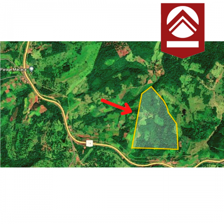 Chacra de 58 hectáreas 