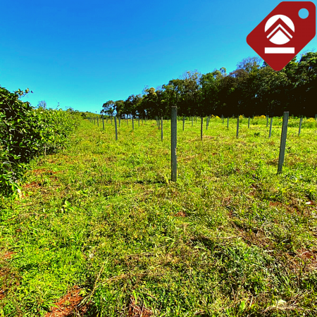 Se vende planta de elaboración de maracuyá