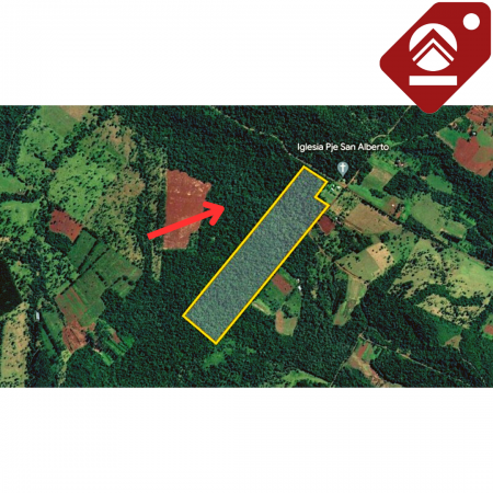 Se vende chacra de 30 hectáreas 