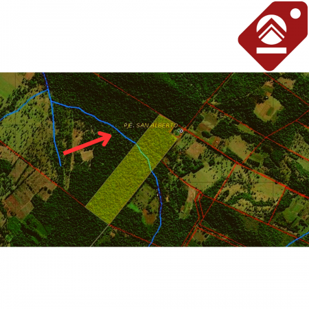 Se vende chacra de 30 hectáreas 