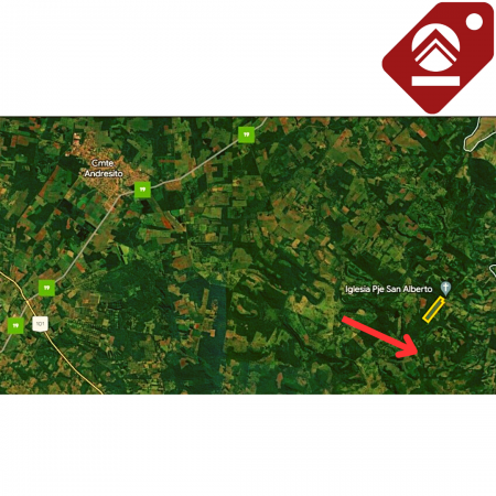 Se vende chacra de 30 hectáreas 