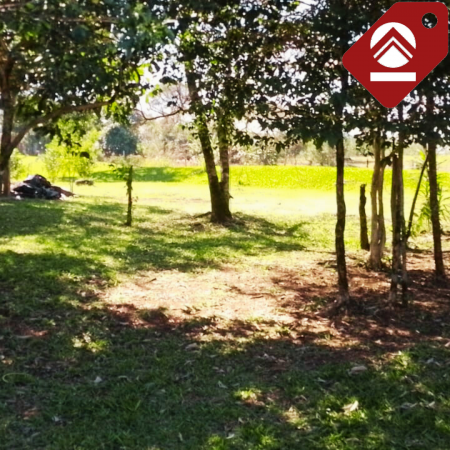 Se vende chacra de 1 hectárea 