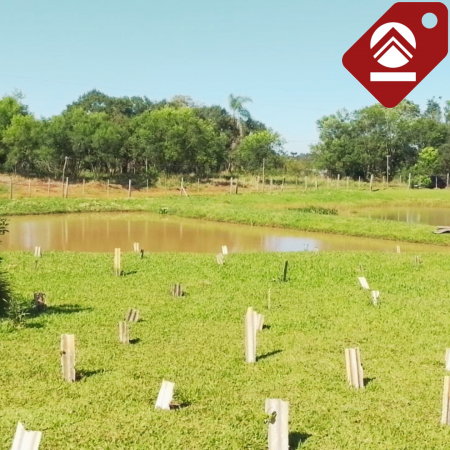 Se vende chacra de 1 hectárea 