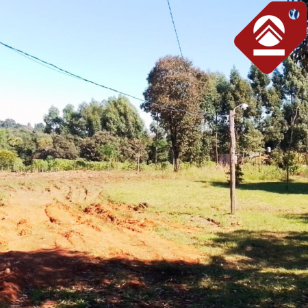 Se vende chacra de 1 hectárea 