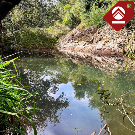 Se vende chacra de 42 hectáreas 