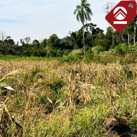 Se vende chacra de 42 hectáreas 