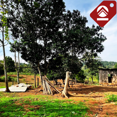 Se vende chacra de 42 hectáreas 