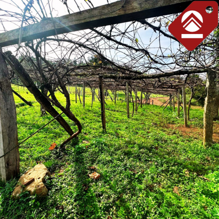 Se vende chacra de 42 hectáreas 