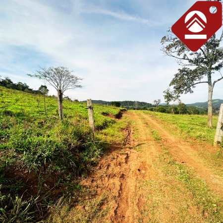 Se vende chacra de 42 hectáreas 