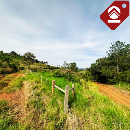 Se vende chacra de 42 hectáreas 