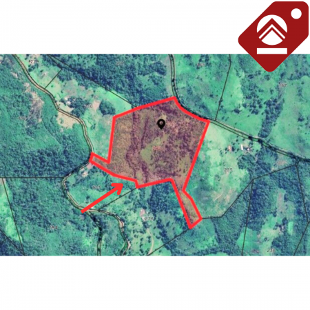 Se vende chacra de 42 hectáreas 