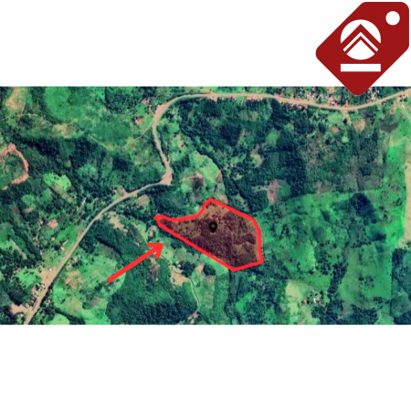 Se vende chacra de 42 hectáreas 