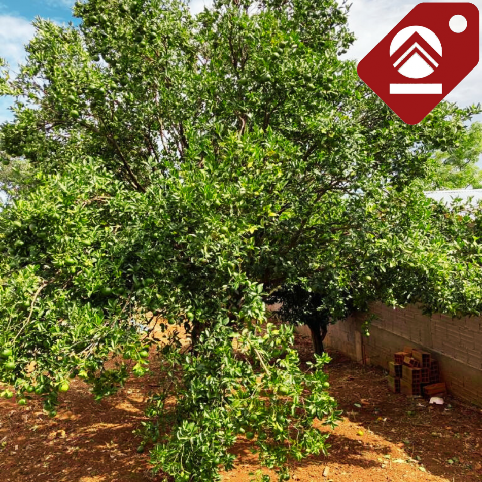 Se vende casa en terreno de 12,50 X 40