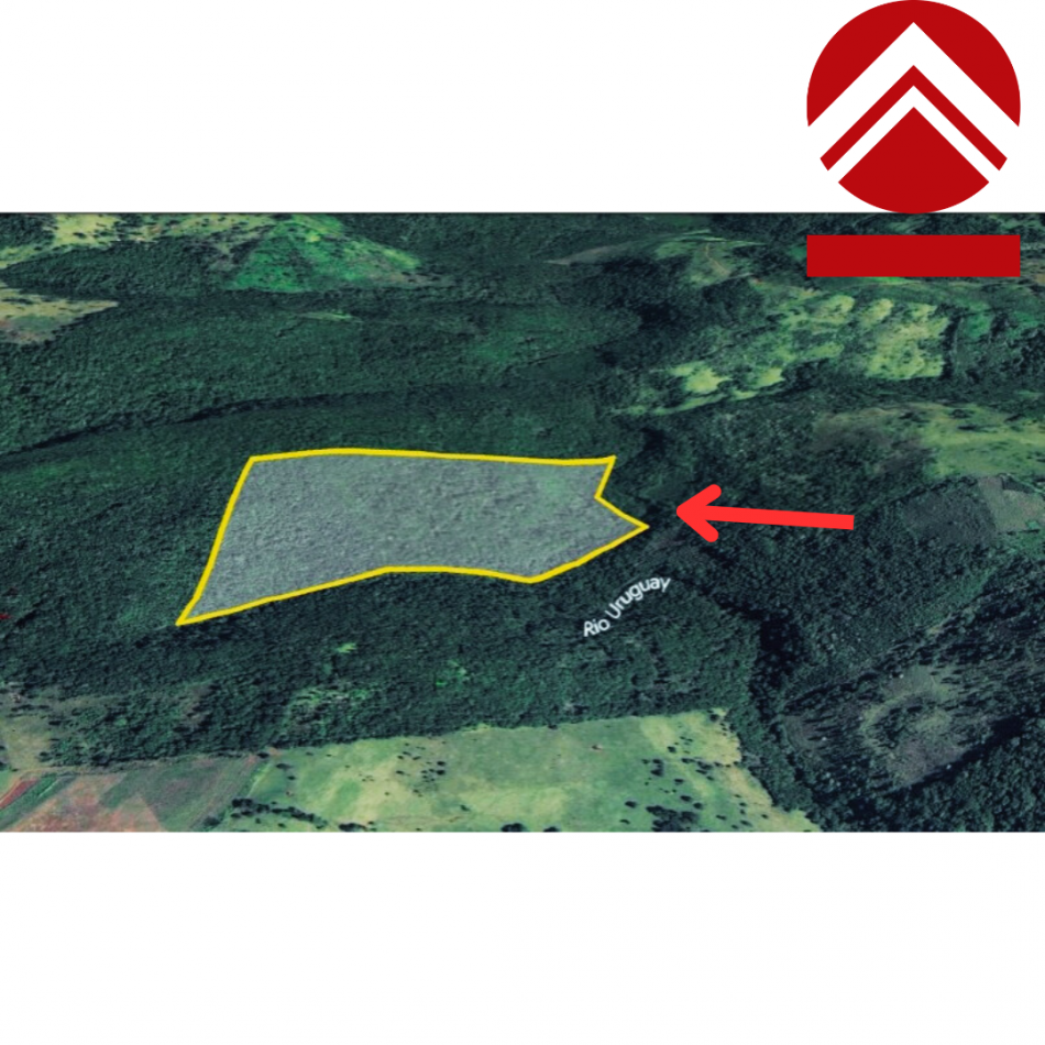 Se vende lote de 22 hectareas