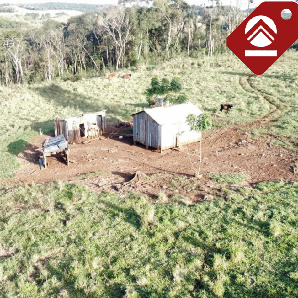 Se vende chacra de 35 hectareas