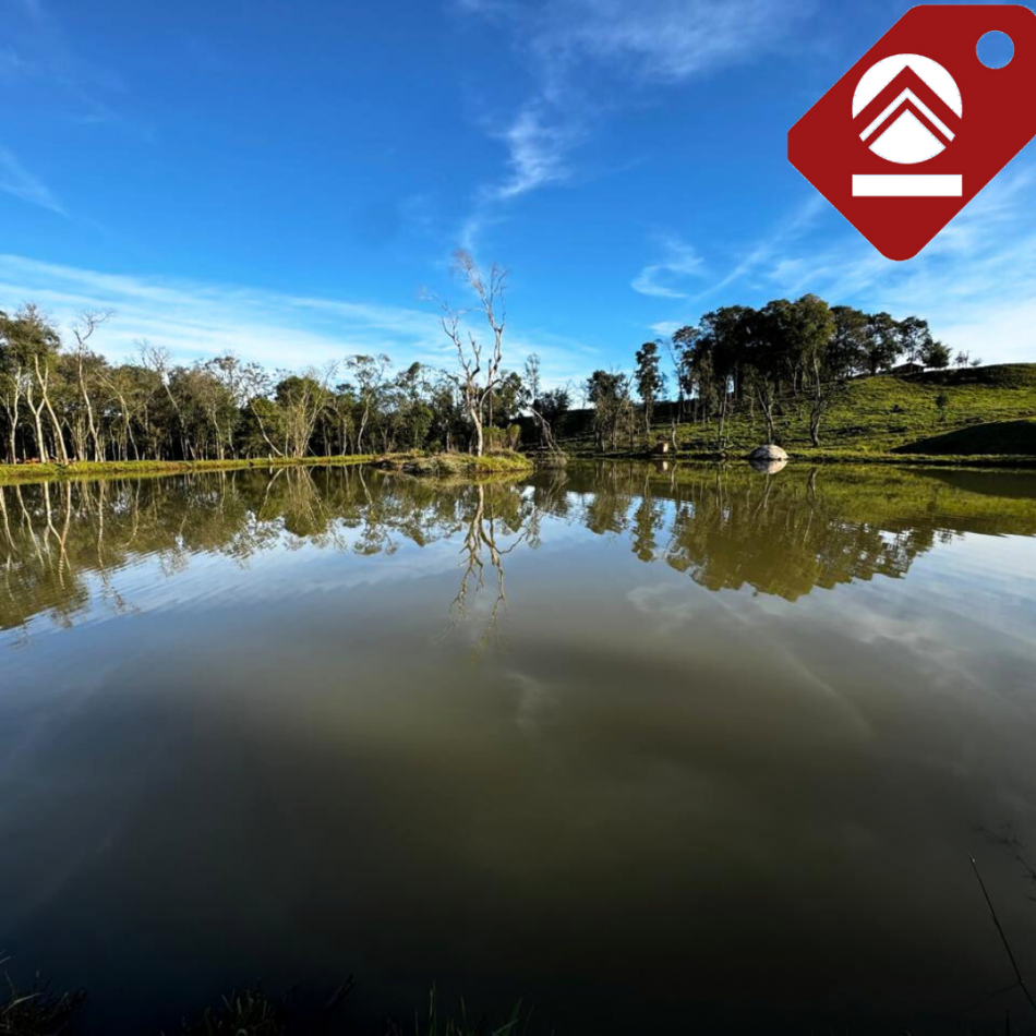 Se vende chacra de 35 hectareas