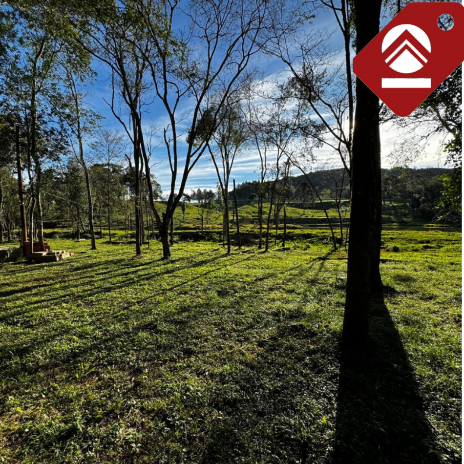 Se vende chacra de 35 hectareas